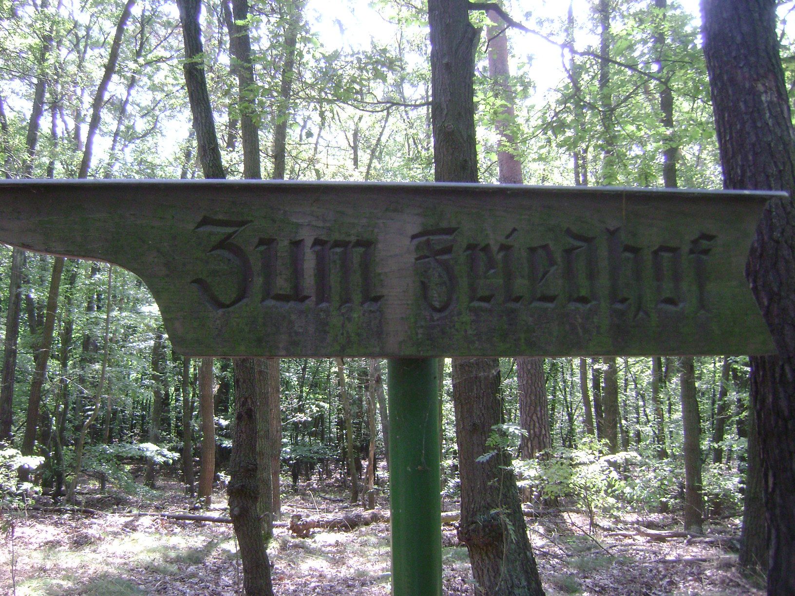 Hölzernes Hinweisschild zum Friedhof zwischen Bäumen im Grunewald